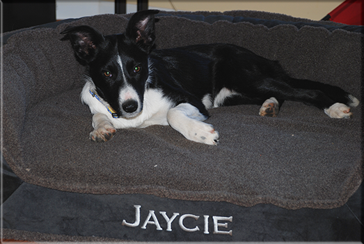 Jaycie on her new bed
